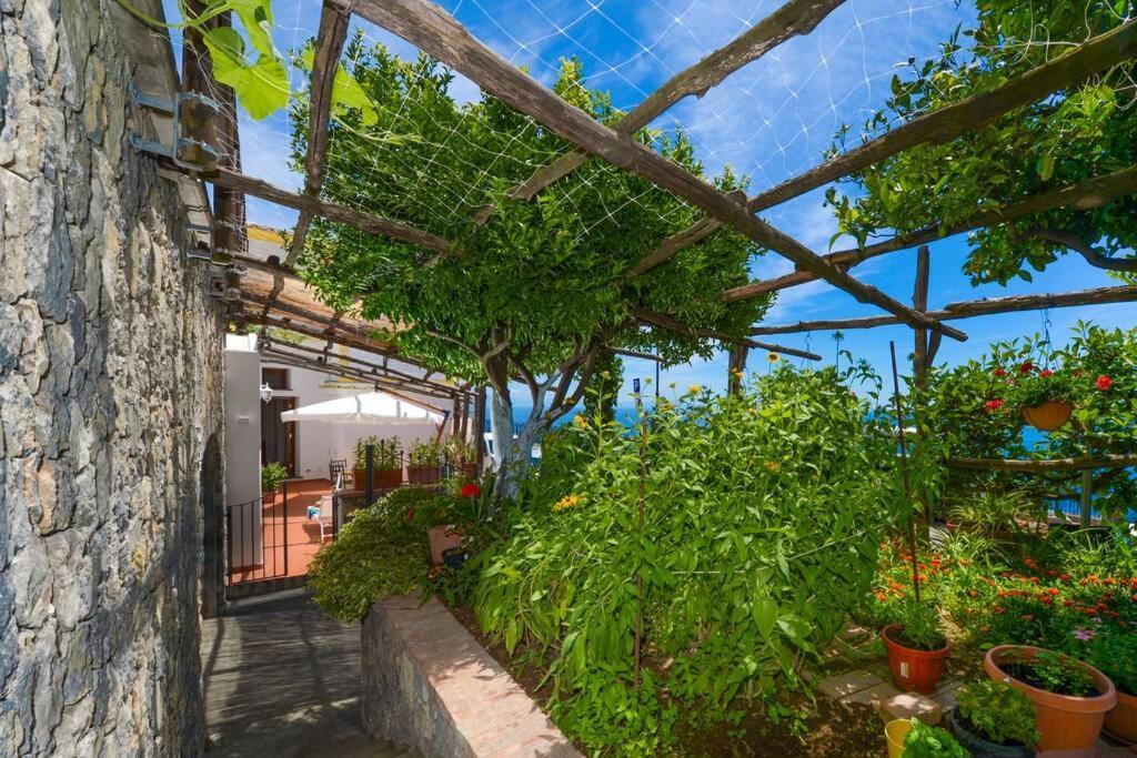 Casa La Verbena 普莱亚诺 外观 照片