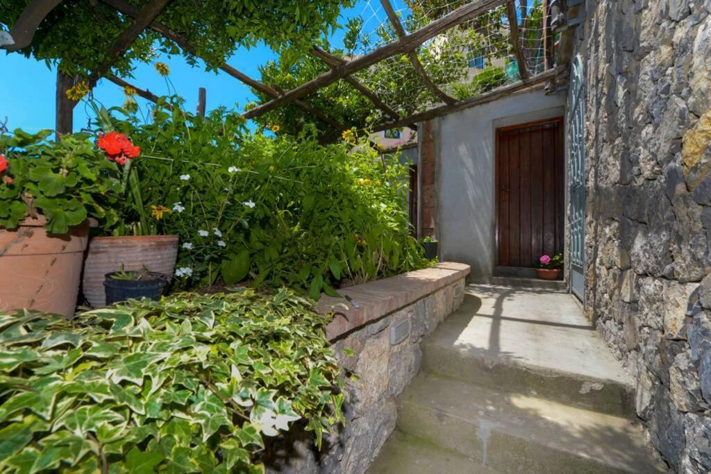 Casa La Verbena 普莱亚诺 外观 照片